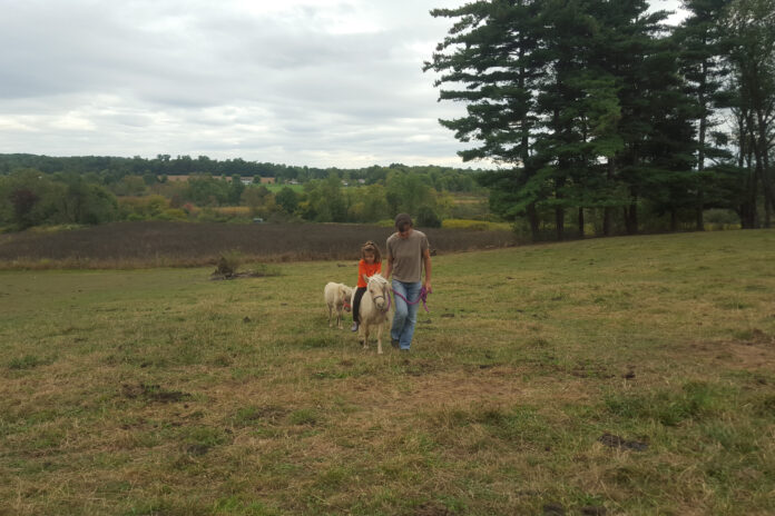 grandmas farm grandmas farm