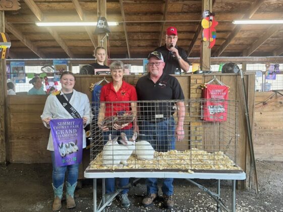 Grand Champion Rabbits