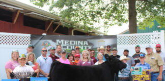 Grand Champion Steer