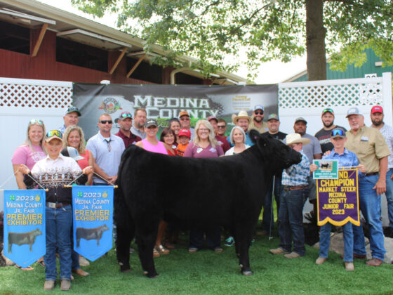 Grand Champion Steer
