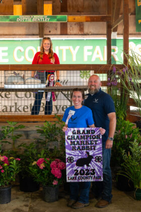 Grand Champion Rabbit