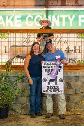 Reserve Champion Lamb