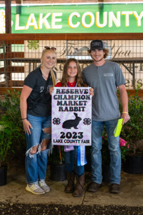 Reserve Champion Rabbit