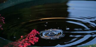 rain barrel