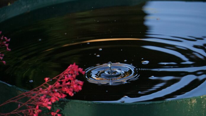 rain barrel rain barrel