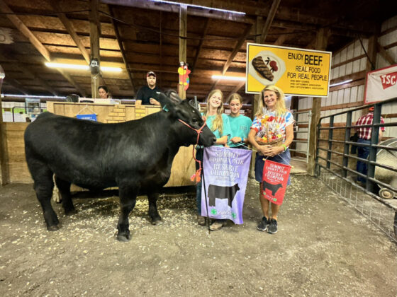 Reserve Champion Steer