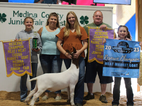 Reserve Champion Goat