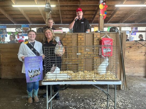 Reserve Champion Rabbits