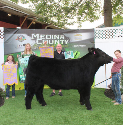 Reserve Champion Steer