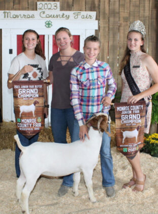 Grand Champion Market Doe Goat