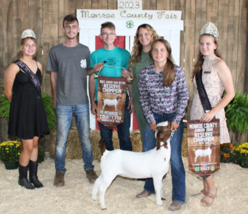 Reserve Champion Market Doe Goat