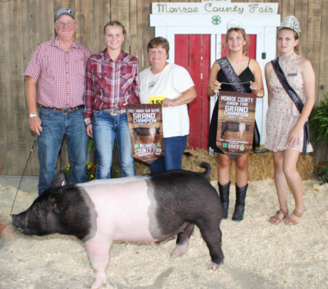 Grand Champion Market Hog