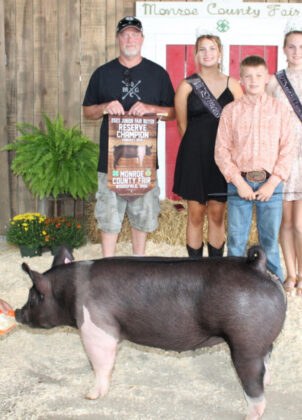 Reserve Champion Market Hog