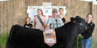 Grand Champion Market Steer