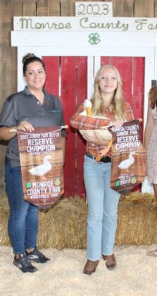 Reserve Champion Market Duck
