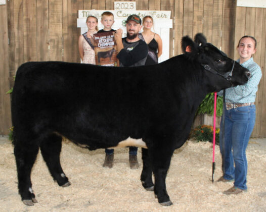 Reserve Champion Market Steer