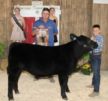 Grand Champion Feeder Calf Steer