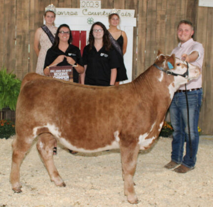 Reserve Champion Feeder Calf Steer