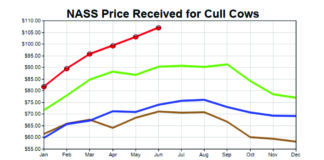 dairy excel chart