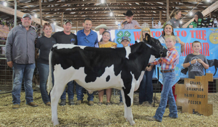 Grand Champion Dairy Beef Feeder