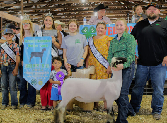 Grand Champion Lamb