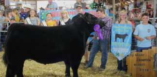 Grand Champion Market Beef