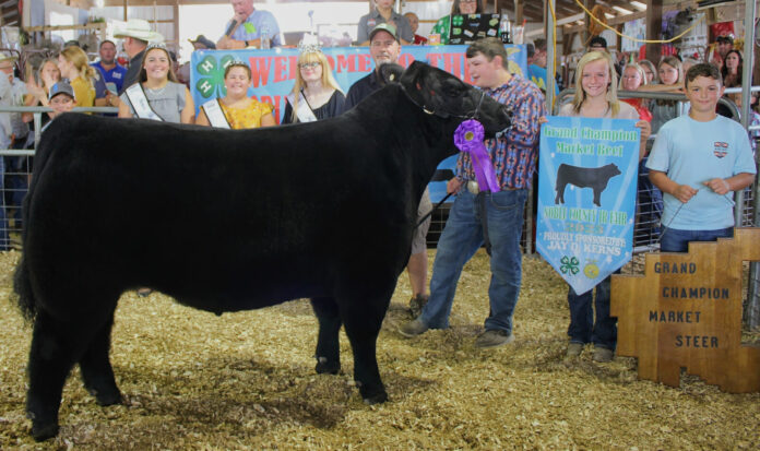 Grand Champion Market Beef Grand Champion Market Beef