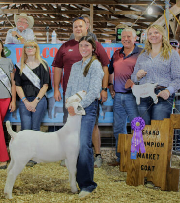 Grand Champion Market Goat