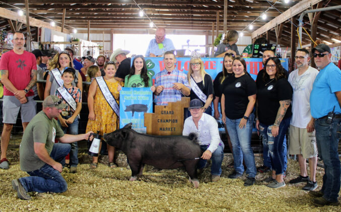 Grand Champion Market Hog