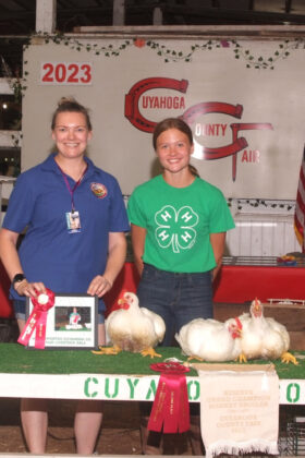 Reserve Champion Chickens