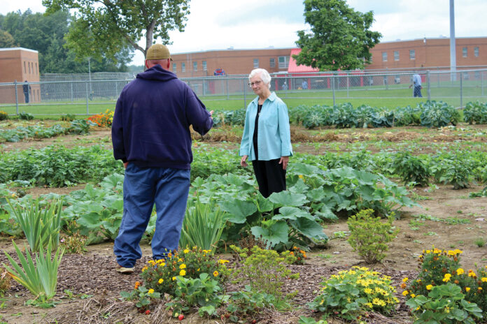 Vegetables grown at the Grafton Correctional Institution Vegetables grown at the Grafton Correctional Institution