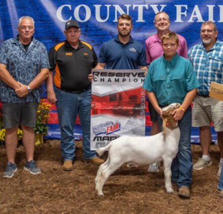 Reserve Champion Goat