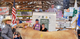 Grand Champion Beef