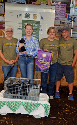 Grand Champion Rabbit