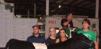 Grand Champion Steer