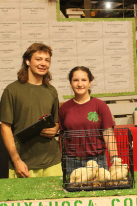 Reserve Champion Quail