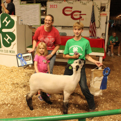 Grand Champion Lamb