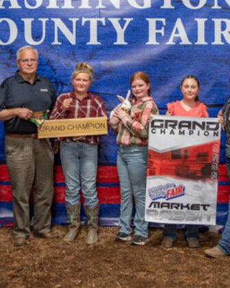 Grand Champion Rabbits