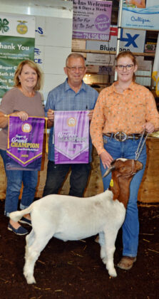 Reserve Champion Goat
