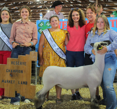 Reserve Champion Lamb