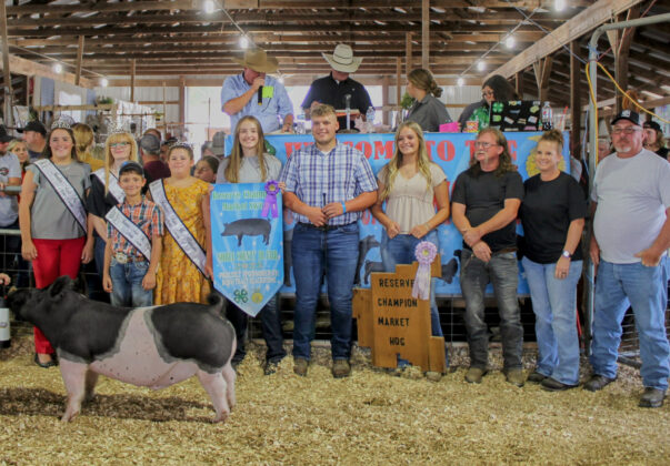 Reserve Champion Market Hog