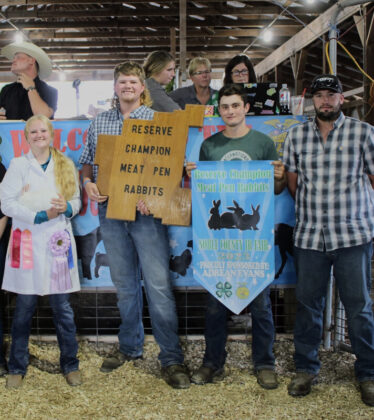 Reserve Champion Market Rabbits