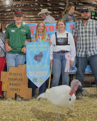 Reserve Champion Market Turkey