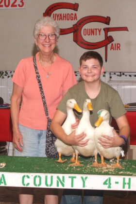 Reserve Champion Ducks
