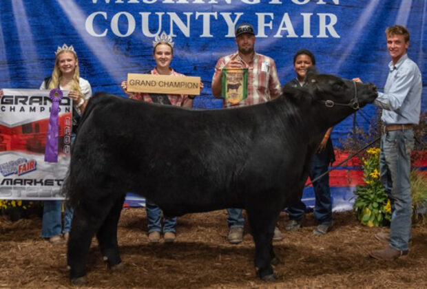 Grand Champion Steer