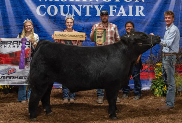 Grand Champion Steer Grand Champion Steer