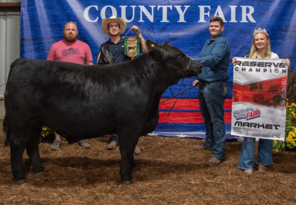 Reserve Champion Steer