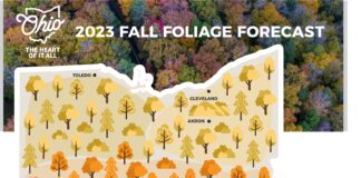 fall color