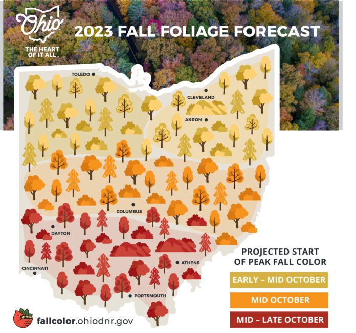 fall color fall color