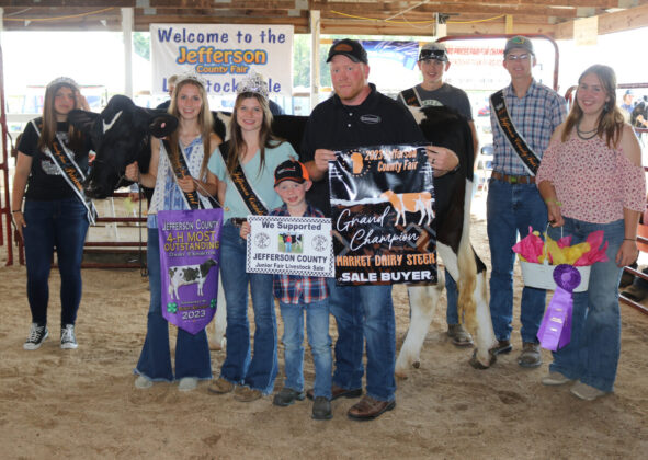 Grand Champion Dairy Steer